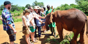 Nairobi city excursions