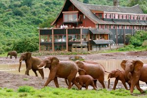 The Ark Lodge Kenya - Avadan Safaris Ltd