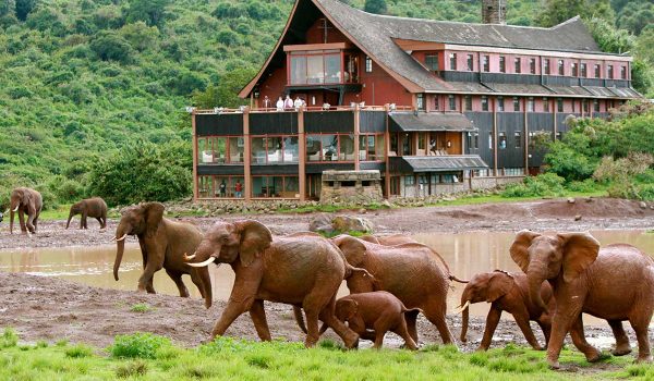 The Ark Lodge Kenya - Avadan Safaris Ltd