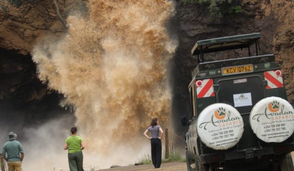 WhatsApp Image 2025-08-19 at 10.55.56