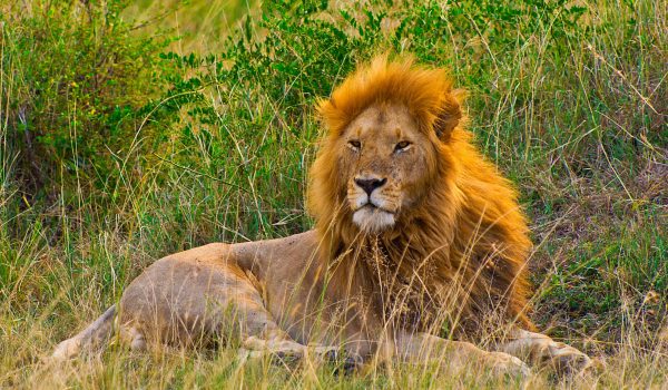 pexels-brian-banford-2586617-12371901